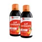 Forte Pharma Turbodraine Th Pche 2 X 500Ml