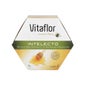 Vitaflor Geleia Real Intelecto 20amp