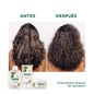 Shampoo Klorane Cupuaçu 400 ml