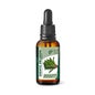 Dente de Leão GHF 60ml