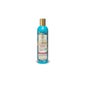 Natura Siberica Champ£ oblepikha para cabelos normais e oleosos 400 ml