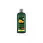 Shampoo Volumizante Logona 500ml