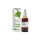 Extracto Ginkgo 50 Ml Xxi Soria Natural