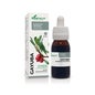 Extracto Gayuba Xxi 50 Ml Soria Natural