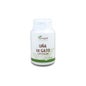 Garra 90 Cpr da Plantapol Cat's Claw
