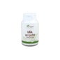 Garra 90 Cpr da Plantapol Cat's Claw