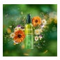 Weleda Skin Óleo Seco Sublimador 100ml