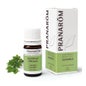 Liveche Racine Pranarom He 5ml