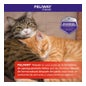 Feliway Friends Ambientador Recargo 48ml