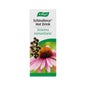 Echinaforce Hotdrink 100ml