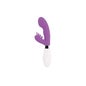 Coelho Brilhante Elvis Lilac