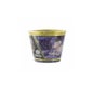 Shunga Bougie Massage 170ml Fuits Exoti Shunga,