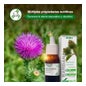 Soria Natural Ext. Glicerina de Bardana XXL 50ml