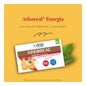 Arkoreal Geleia Real + Ginseng 20 ampolas
