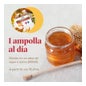 Arkoreal Geleia Real + Ginseng 20 ampolas