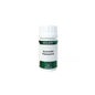 Holofit Ayurveda Gymnema 50cáps