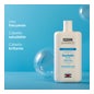 CHAMPÔ PACK DAYLISDIN 2X400ML