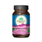 Organic India Ashwagandha 90caps