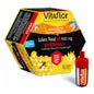 Vitaflor Geleia Real Energia 20amp