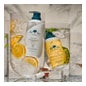 Dr Tree Bálsamo Acondicionador 200ml