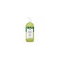 Soivre Cosméticos Gel de Banho e Champô Chá Verde 500ml