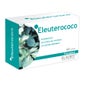 Fitotablet eleuterococo 60comp