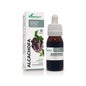 Extracto Alcachofa Xxi 50ml Soria Natura