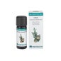 Bio Essential Cypress 10ml de óleo