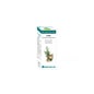 Bio Essential Cypress 10ml de óleo