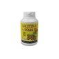 Plantapol Soja Lecitina Gmo Free 120 Pérolas Gmo Free