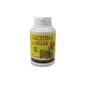 Plantapol Soja Lecitina Gmo Free 120 Pérolas Gmo Free