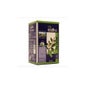 Nova Diet Infusão Chá Verde 20 pcs 30g