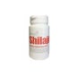 Ayurveda Shilajit 60cap