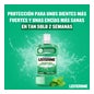 Listerine Mouthwash Dentes & Gengivas Menta Sabor Menta 2X1000ml