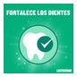 Listerine Mouthwash Dentes & Gengivas Menta Sabor Menta 2X1000ml