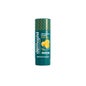 Dermophil Lip Protector Sabor Mel 4g