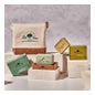 Dr Tree Champu Solido 2 en 1 Hidratante 1 Pastilla 75g