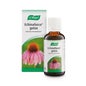 Echinaforce ™ cai 50ml