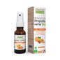 Proponente Spray Bucal Equincea Propleo Verde 15ml