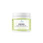 Labdermis Creme Zinco 10% Aloé Vera 100g