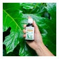 Puressentiel Óleo Vegetal de Baunilha 50ml