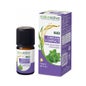 Óleo Essencial Orgânico Naturativo Origan Compact 5ml