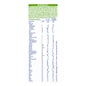 Nan Confort Expert Pro 2 800g