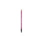 Rougj Etoile Perfilador De Labios Fuscia 1,2g