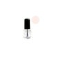 Vitry Mini Rose Verniz de Água de Rosa 4Ml