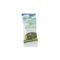 Barra de Ouro (solidago) 45 Gr