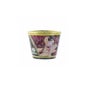Shunga Bougie Massage 170ml Fraise.. Shunga,