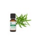Voshuiles Tarragon Óleo Essencial 20ml