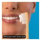 Apivita Crema Dental Total 75ml