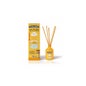 A Empresa de Frutas Mikado Manga Mikado 40ml